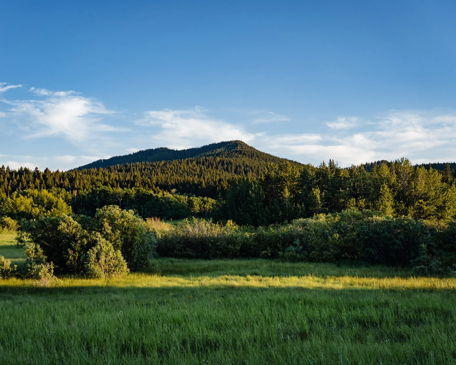Homestead Loop Trail · Photo by Field Notes